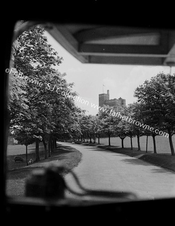 AVENUE OF TREES